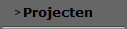Projecten