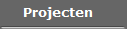 Projecten